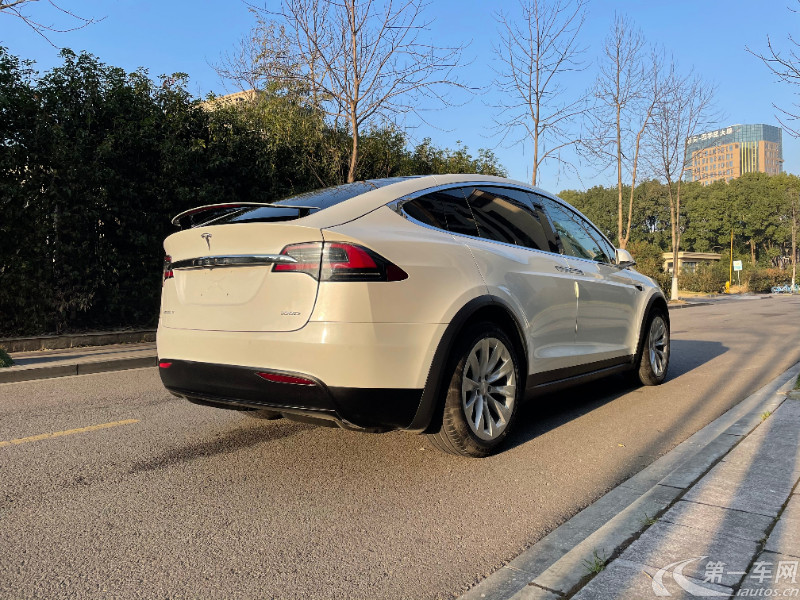 特斯拉model x[进口 2017款 自动 100d 纯电动