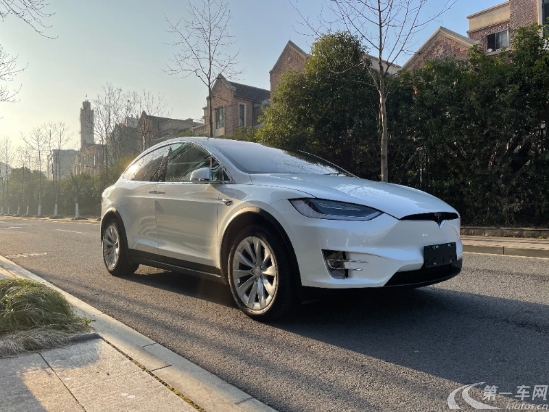 特斯拉model x[进口 2017款 自动 100d 纯电动