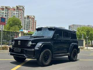 坦克坦克300 城市版 2.0T 自动 必须型 