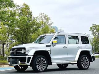 坦克坦克300 2.0T 自动 边境限定版 