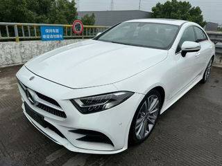 奔驰CLS级 CLS300 2.0T 自动 动感型 