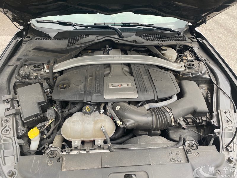 福特野马 [进口] 2019款 5.0L 自动 GT 