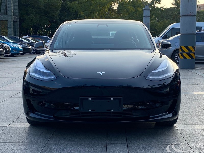 特斯拉MODEL 3 [进口] 2019款 自动 长续航电池 纯电动 