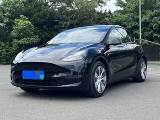 特斯拉MODEL Y 0.0T 自动 后驱版 