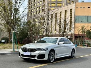 宝马5系 530Li 2.0T 自动 尊享型M运动套装 