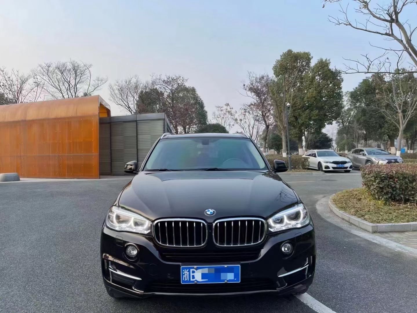 宝马X5 [进口] 2017款 3.0T 自动 四驱 汽油 豪华型价格0万 