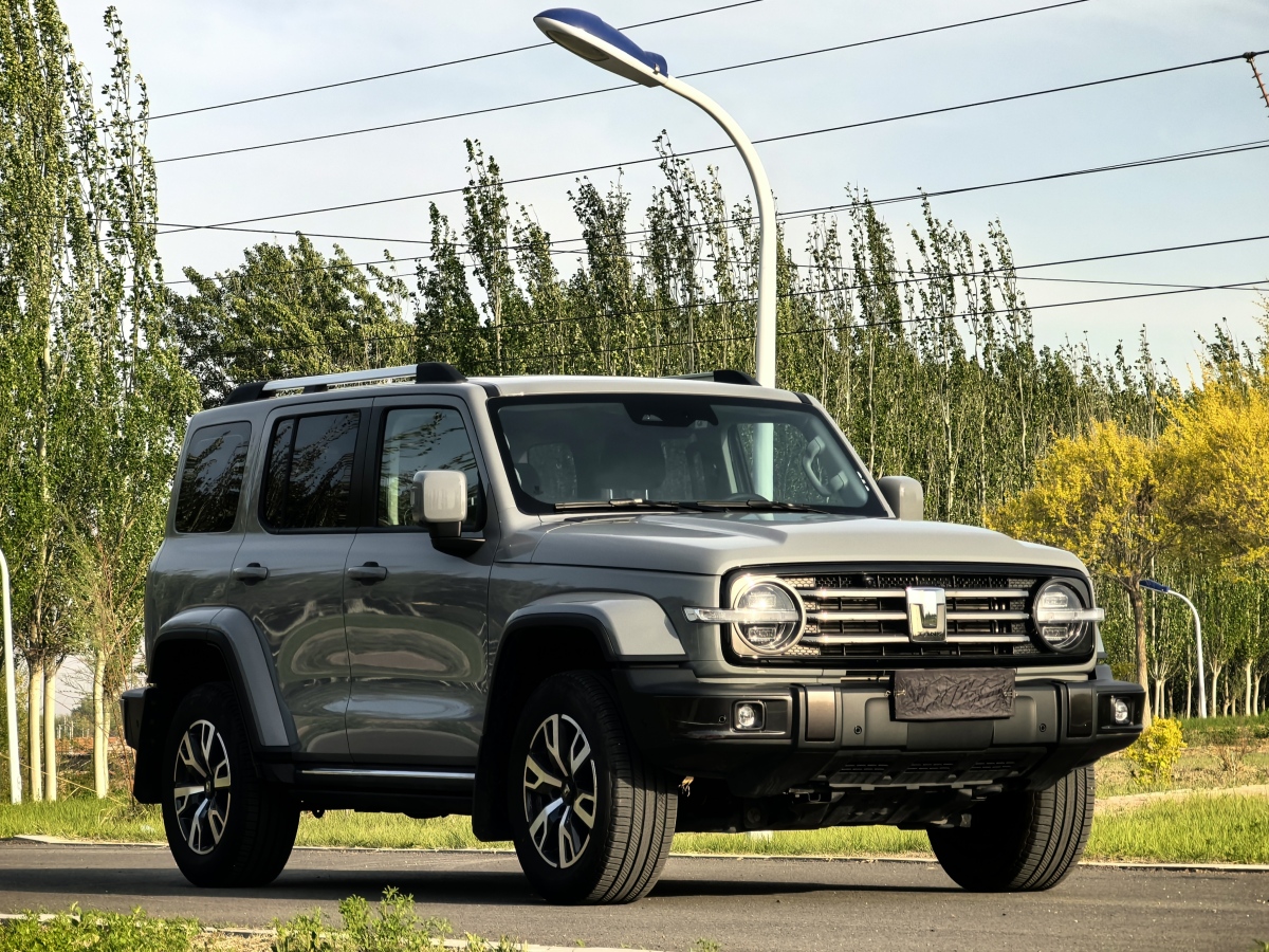坦克坦克300 城市版 2023款 2.0T 自动 很有型 价格0万 