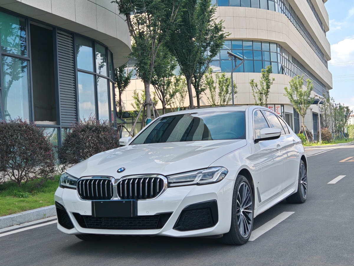 宝马5系 530Li 2021款 2.0T 自动 汽油 领先型M运动套装 价格0万