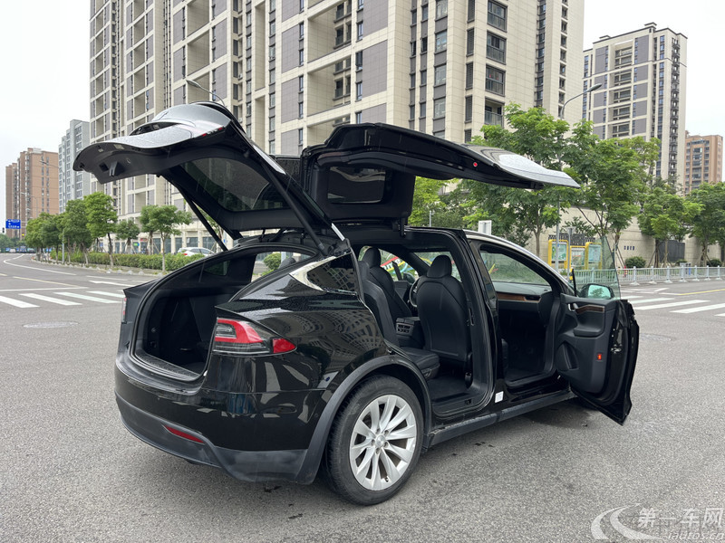 特斯拉MODEL X [进口] 2020款 自动 长续航升级版 纯电动 