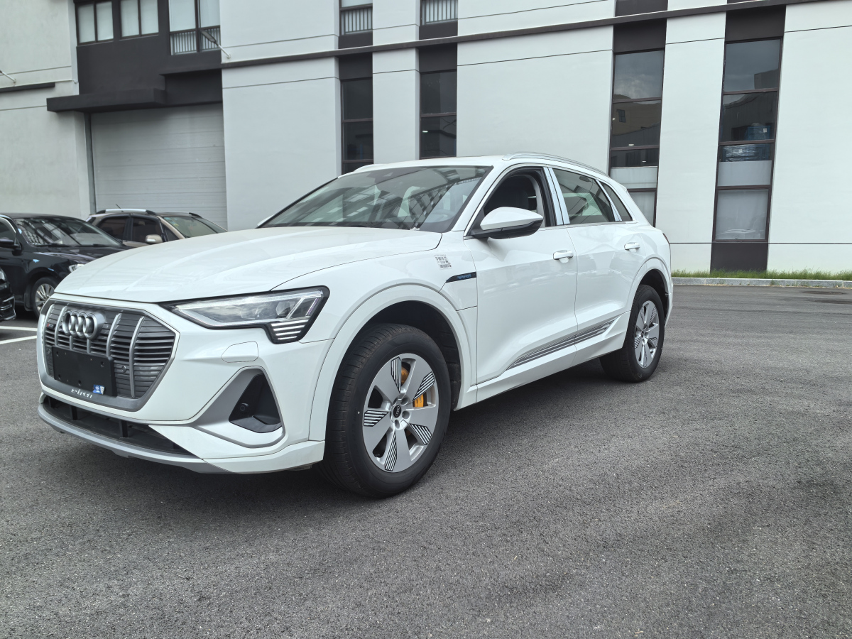 奥迪Q5 e二手车 二手tron 50 e二手车 二手tron 2023款 0.0T 自动 荣耀型影武士版价格0万 