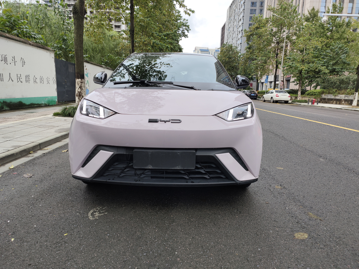 比亚迪海鸥 2023款 0.0T 自动 活力版价格0万 