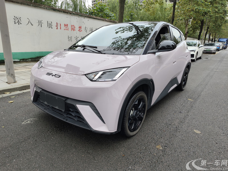 【丽水二手比亚迪海鸥】比亚迪海鸥 2023款 0.0T 自动 活力版
