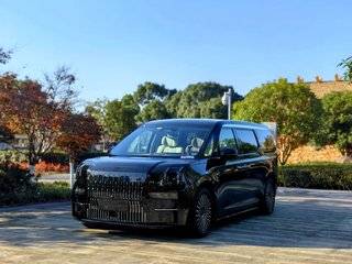 极氪ZEEKR 009 0.0T 