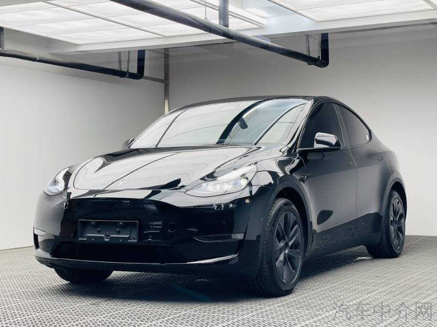 特斯拉MODEL Y 2024款 0.0T 自动 长续航全轮驱动版价格0万