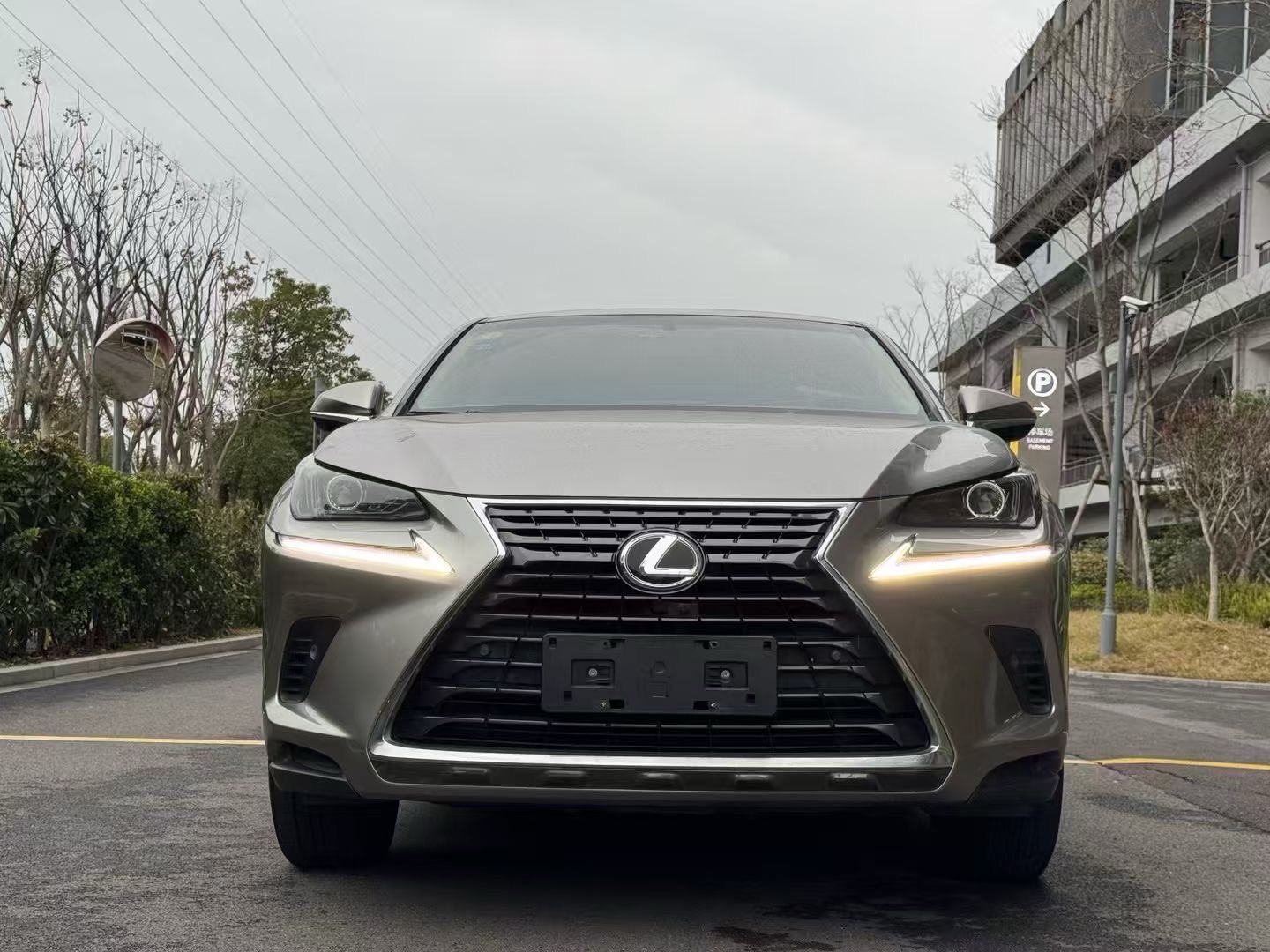 雷克萨斯NX 300h [进口] 2018款 2.5L 自动 锋致版价格0万 