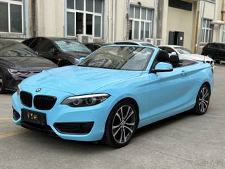 宝马2系敞篷 225i 2.0T 自动 尊享型M运动套装 