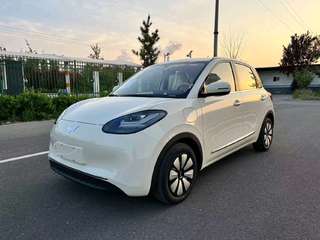 五菱缤果 0.0T 自动 333km悦享款 