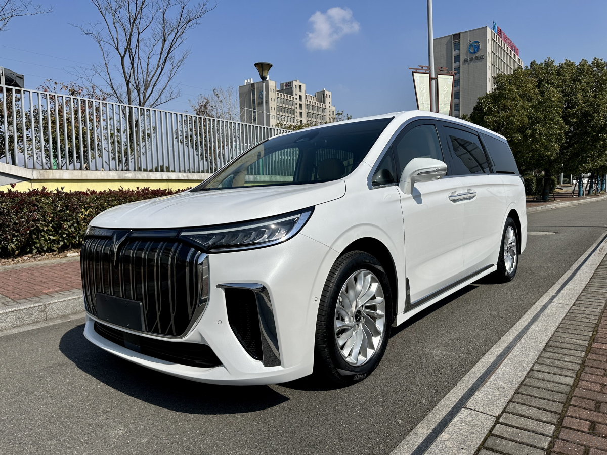 岚图梦想家 2022款 0.0T 自动 0碳版想+智驾包价格0万